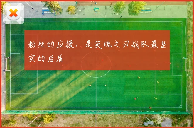 粉丝的应援,是英魂之刃战队最坚实的后盾
