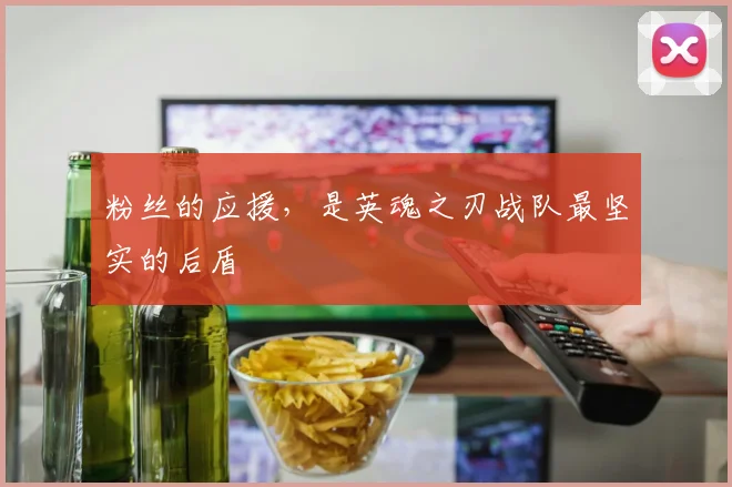 粉丝的应援,是英魂之刃战队最坚实的后盾